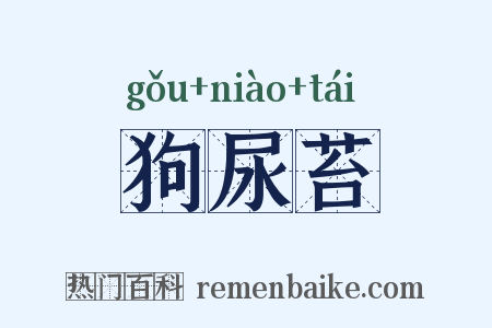狗尿苔是什么意思的图片